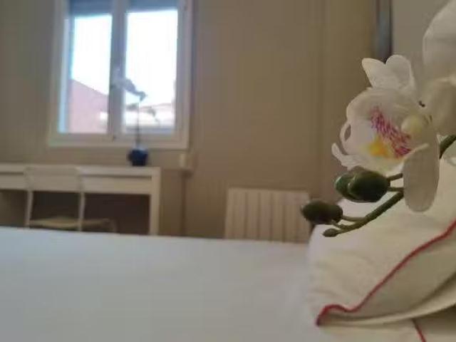 Habitación en Calle del Monte Olivetti, Numancia