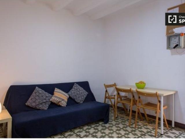 Habitación en piso compartido de 2 habitaciones en alquiler en El Raval, solo para profesionales y e