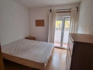 Gacela, Sevilla, Andalucía, Andalucía