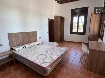 Habitación en piso compartido en Elx
