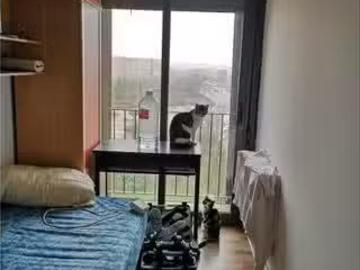 Habitación en piso compartido en madrid