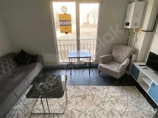 Hacılar Harmanı Mahallesi 112 Acil ve Müze Yakını Eşyalı Kiralık 1+1 Daire