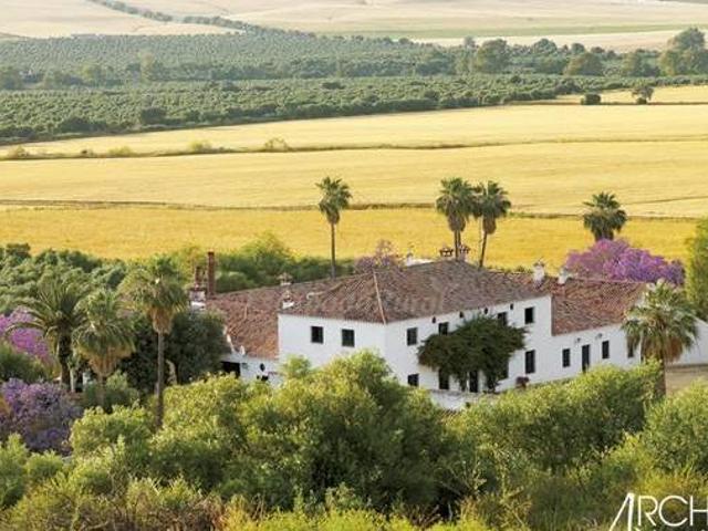 Hacienda Buena Suerte