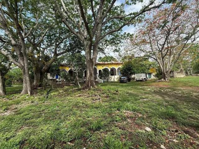 Hacienda henequenera histórica de 1911 en Izamal