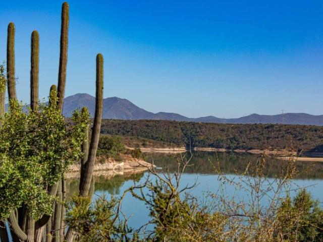 HACIENDA LOS AROMOS