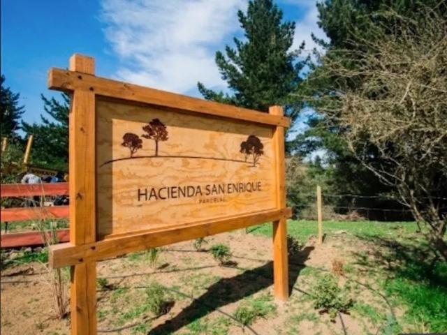 HACIENDA SAN ENRIQUE
