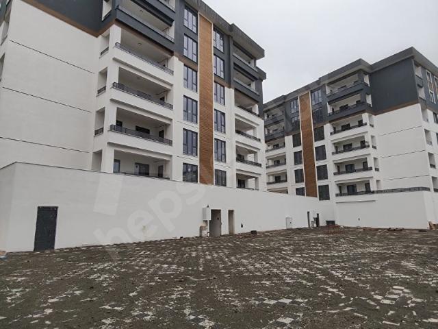 HAFSA SULTAN DAN BİRZAN LİFE PROJESİ