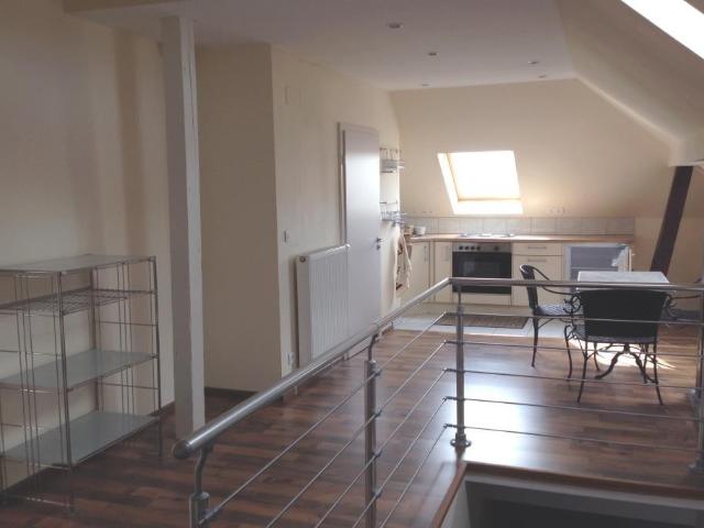 HAGUENAU 2 pièces Atypique en location Meublée, de 55,06 m2