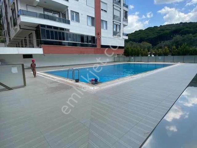 hak seç Emlak Armutludan Kiralık Daire