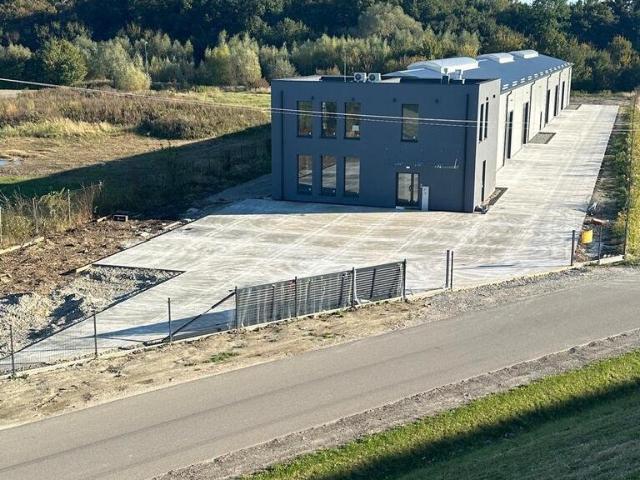Hala magazynowa 1300m² z biurami, wjazd TIR, widoczna z S19