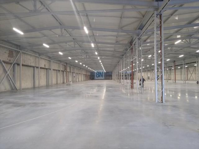 Wynajmę halę magazynową 5910 m² z biurami i placem w Zabrzu
