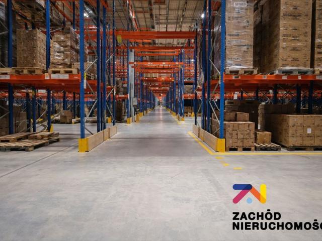 Hala magazynowa klasy A 3 000 m2 z bezpieczeństwem i elastycznością