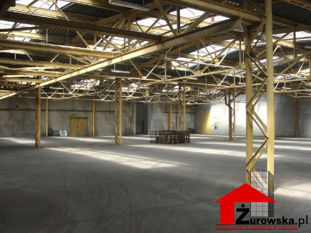 Hala produkcyjno magazynowa 2000 m2 z biurami, media, rampy