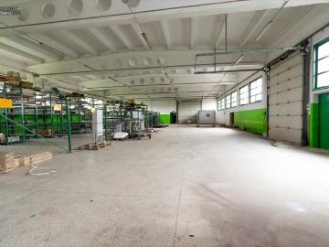 Hala usługowo biurowa 637 m² z zapleczem w Mielcu