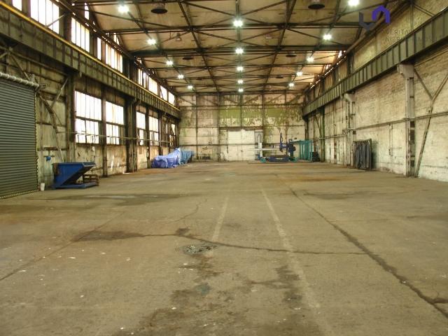 Hala 1400 m² z suwnicami Bytom dostępne biura