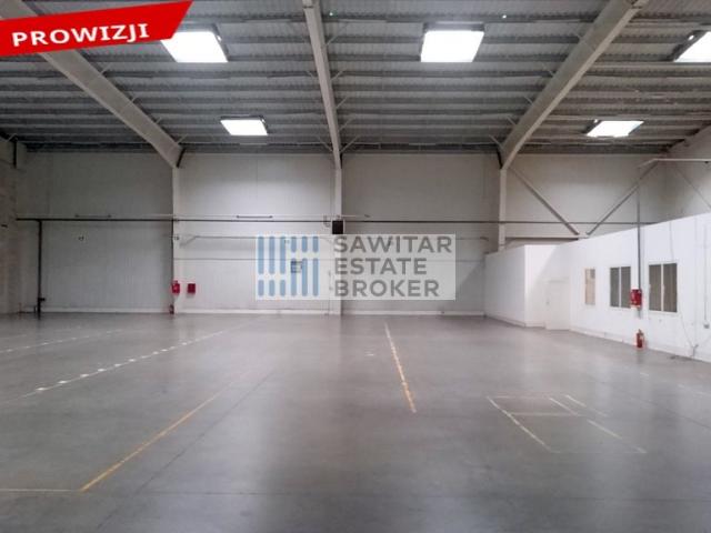 Hala 1000 m² z rampami, biurem i parkingiem od zaraz