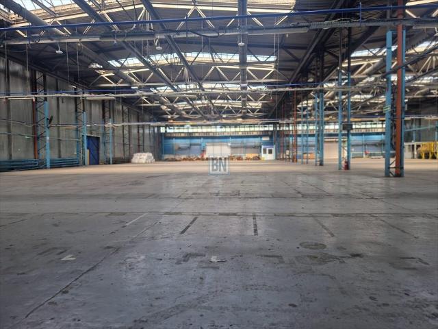 Hala 3000m² z poziomem 0 i dużym zapleczem technicznym