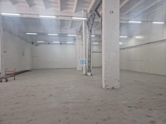 Hala 540m2 z wysokim sufitem i monitoringiem