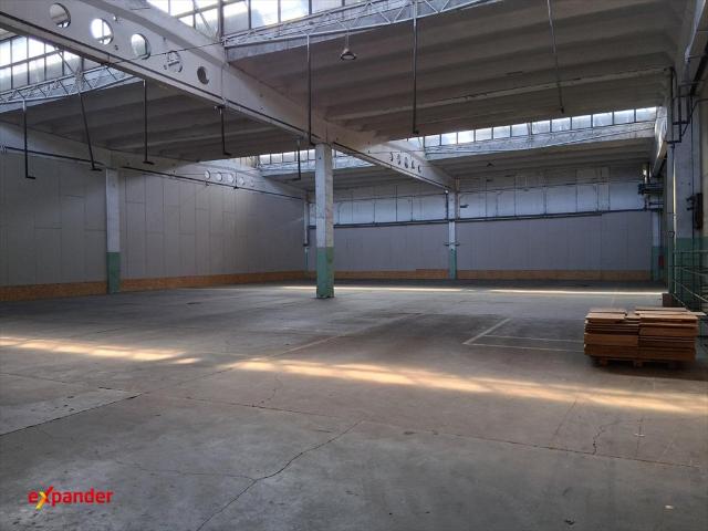 Polecam halę 860 m² z rampą i parkingiem od lipca!