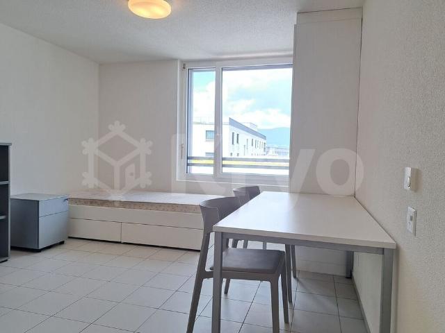 HALDIMAND 55, Furnished studio in the city center – N323