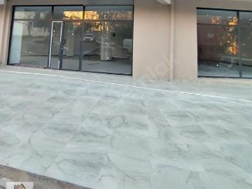 Bornova, İzmir ili, Ege Bölgesi