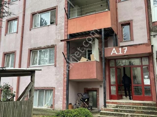 Haliloglu Gayrimenkul Den Kiralık