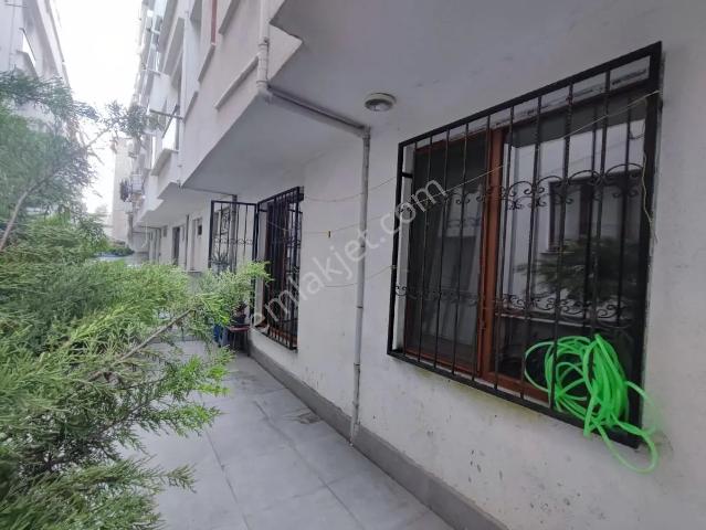 Halkalı Yenidoğan Kasımpatı Sokak 2+1 Bodrum Satılık Daire