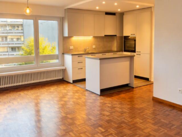 Hall,cuisine agencée rénovée, séjour, 1 chambre,s de bains,balcon Proche centre ville
