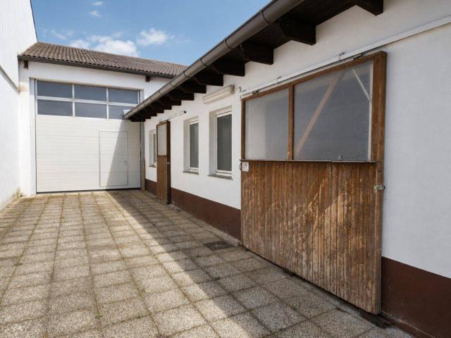Halle, Hof und Haus – mach was draus!