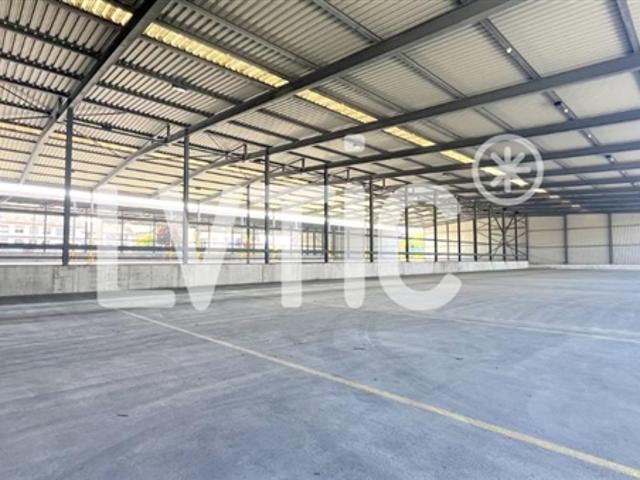 Halles de stockage de 12'000 m2 divisibles dès 1000 m2 à louer à St Prex