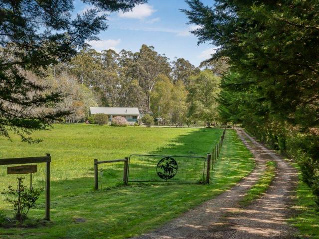 Happy Trails Peaceful, Pristine & Perfect!
