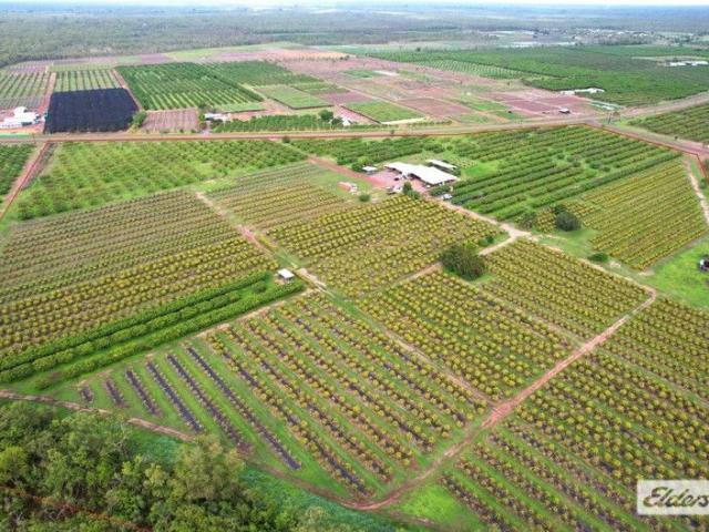 HARVESTHILL ORCHARD, Lambell's Lagoon NT Year round horticultural production with water licence and award winning business