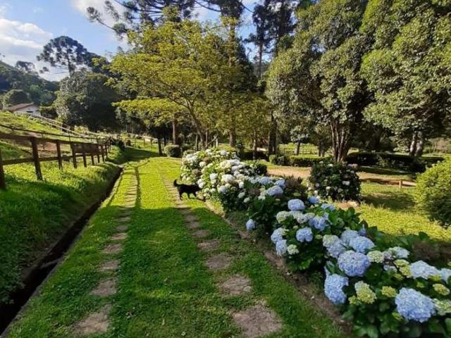 Haras 5,Hectares com Estrutura Completa para Criação de Cavalos em Sapucaí Mirim/MG
