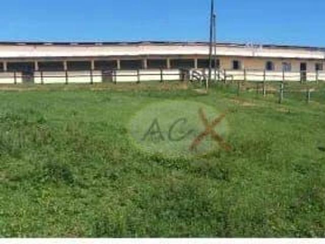 Haras com 5 dormitórios à venda, 520000 m² por R$ 20.000.000,00 Tabatinga Tijucas do Sul/PR