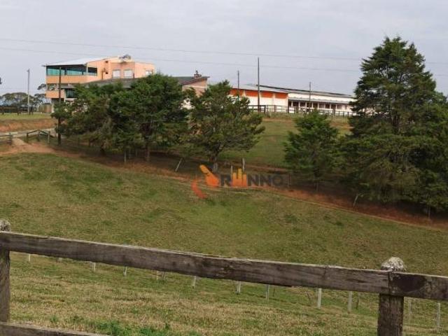 Haras com 5 dormitórios à venda, 520000 m² por R$ 20.100.000,01 Tijucas do Sul Tijucas do Sul/PR