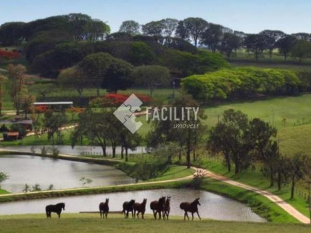 HARAS DE ALTO PADRÃO A VENDA NA REGIÃO DE CAMPINAS SP