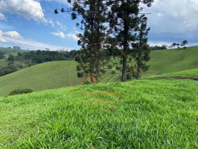 Haras e Área Rural Padrão