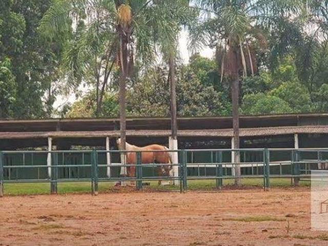 Haras e Área Rural Padrão