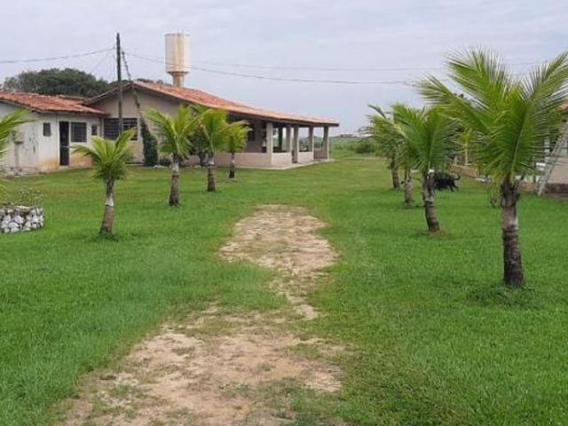 Haras em Cerquilho
