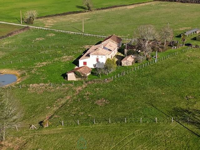 Haras / Equestre