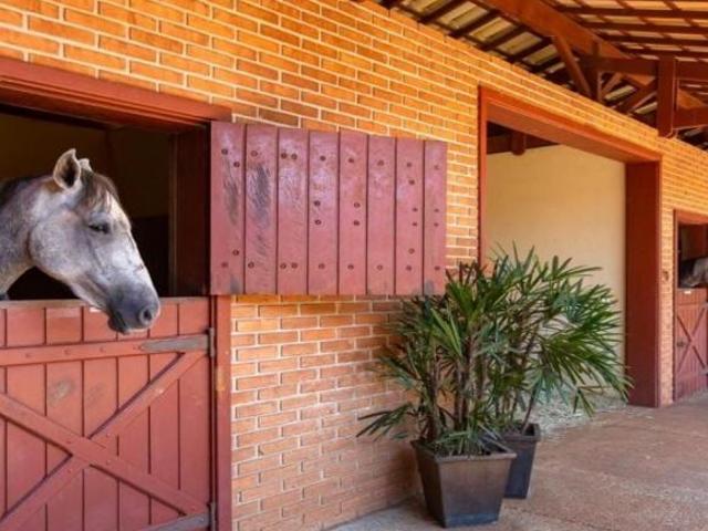 HARAS EXCEPICIONAL, COM EXCELENTE LOCALIZAÇÃO RODOVIA CASTELO BRANCO
