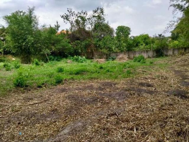 Haras porteira fechada Sapucaí Mirim
