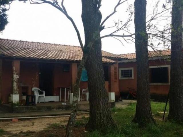 HARAS SÃO GABRIEL IPERÓ SP