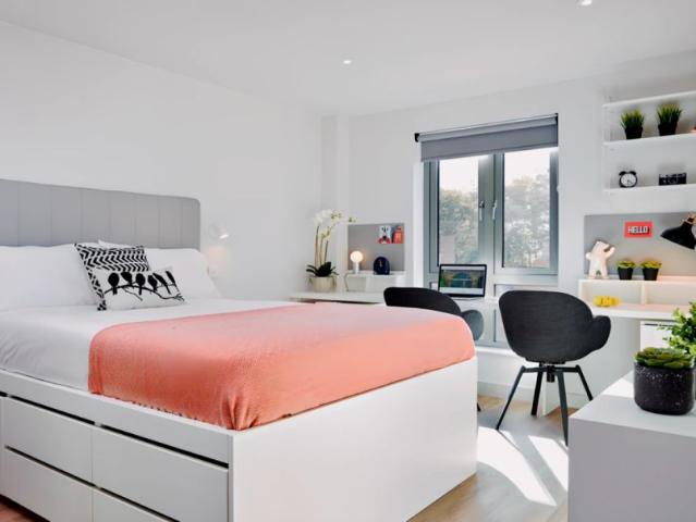 Hardy Studio Single Occupancy