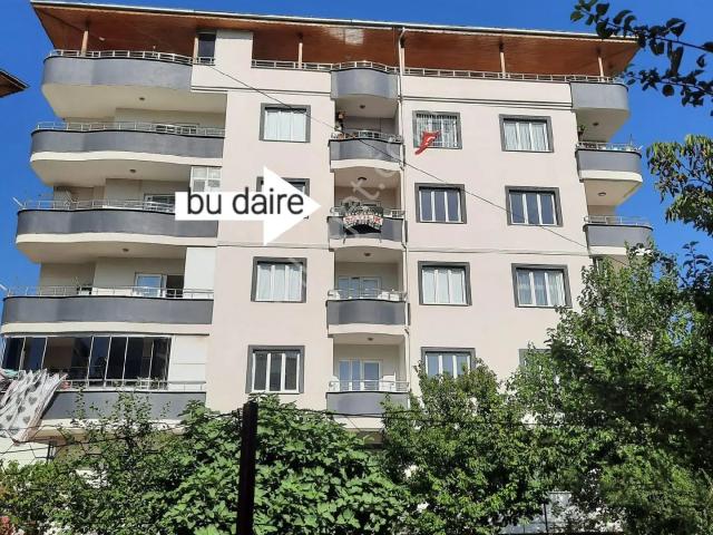 Harika Bir Daire