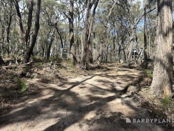 Harmony & Nature on your own 4.25 Acres