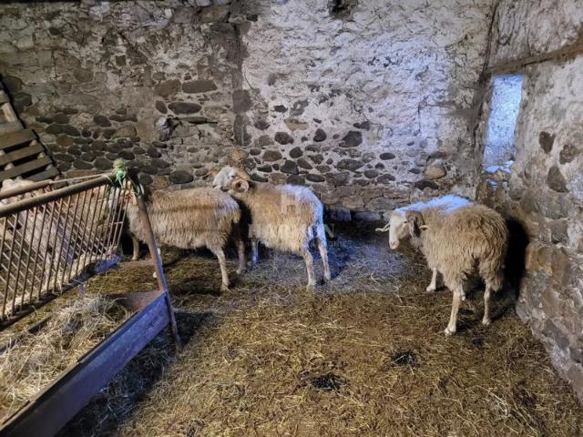 Harmon a vendre: VALLEE D'ASPE, charmante maison au pied de la montagne