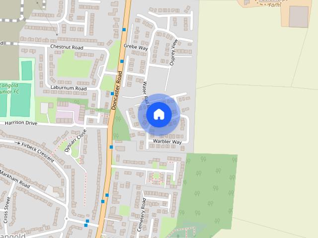 Harrier Drive, Langold, S81