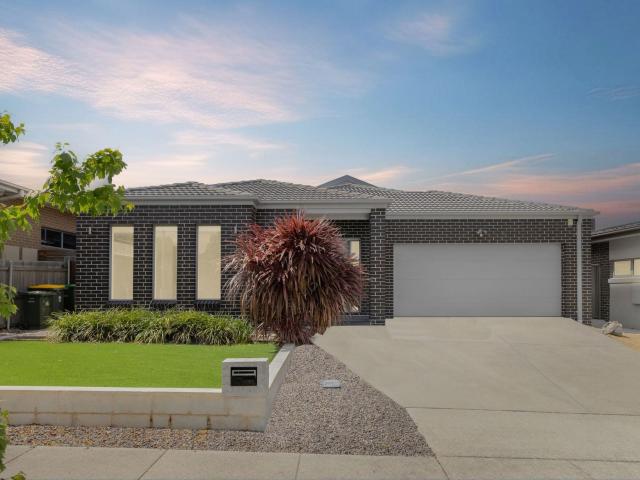 Harrison, 13 Helby Street