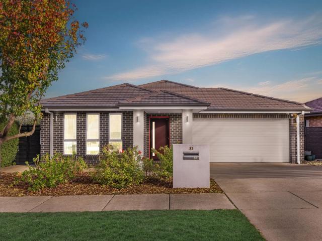 Harrison, 31 Adventure Street